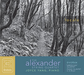 Cover image of a path through the trees for the CD entitled Locale